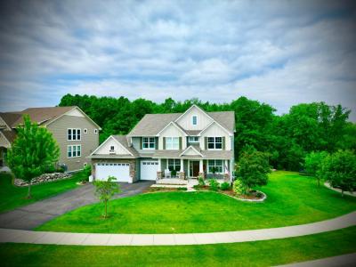 8418 Krey Lake Court, Victoria, Minnesota 55386, USA