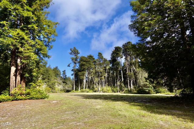 43535 Comptche Ukiah Road, Mendocino, California 95460