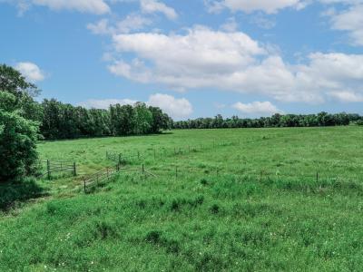 3266 Farm Road 1159, Clarksville, Teksas 75426, USA
