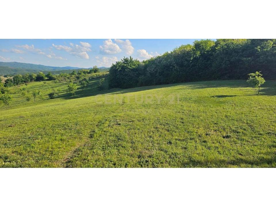 Periferia Tiranë, Tirana, Albania