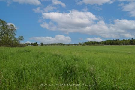 00 MILTON STEWART AVENUE, Mcnab/braeside, 安大略省 K7S 0E1, 加拿大