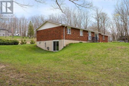 205 NAPOLEON STREET, Grey Highlands, Ontario N0C 1E0, Canada