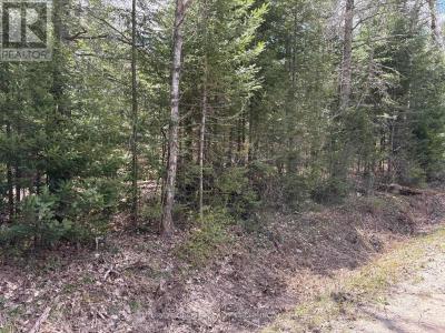 01 MONCK ROAD, Faraday, Ontario K0L 1C0, Canada