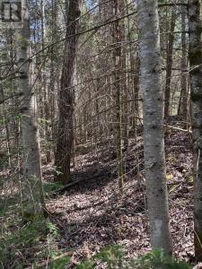 01 MONCK ROAD, Faraday, Ontario K0L 1C0, Canada