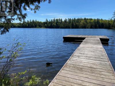 1037 ROTUNDA DRIVE, Highlands East (glamorgan), Ontario K0M 1R0, Canada