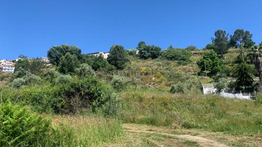 Covilhã, Castelo Branco 6200-222, Portugalia