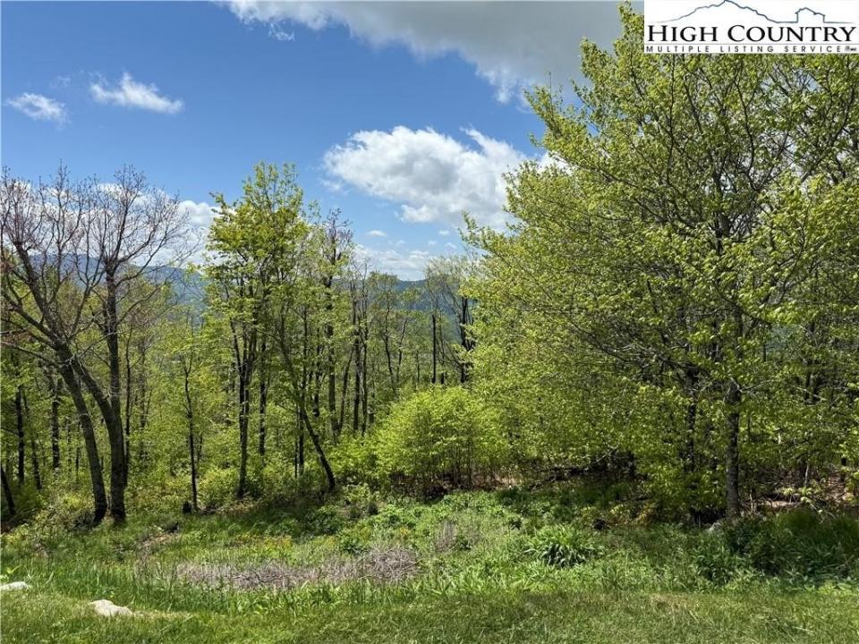 70 Sunset Strip, Beech Mountain, ノースカロライナ 28604, アメリカ合衆国
