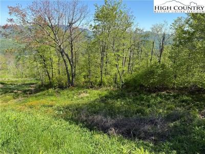 70 Sunset Strip, Beech Mountain, ノースカロライナ 28604, アメリカ合衆国