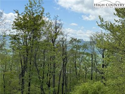 70 Sunset Strip, Beech Mountain, ノースカロライナ 28604, アメリカ合衆国