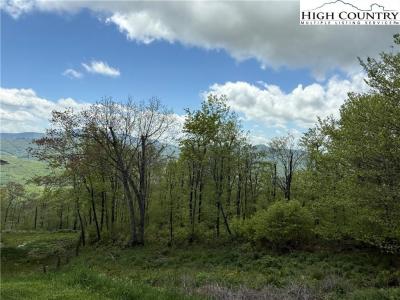 70 Sunset Strip, Beech Mountain, ノースカロライナ 28604, アメリカ合衆国
