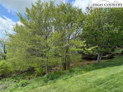70 Sunset Strip, Beech Mountain, NC 28604, USA