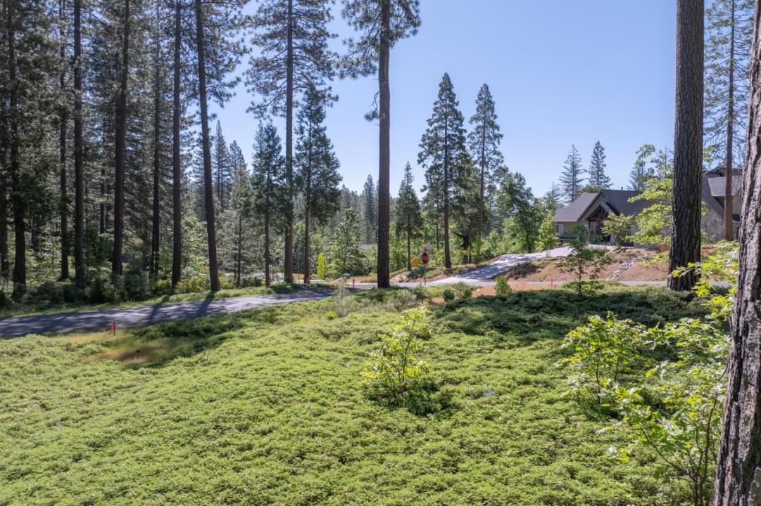 Vireo Way, Avery, Califórnia 95224, Estados Unidos