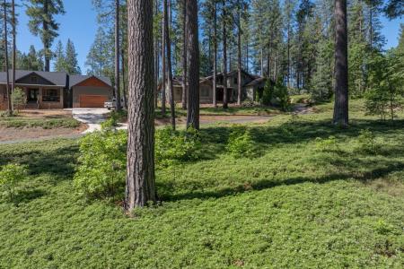 Vireo Way, Avery, California 95224, USA