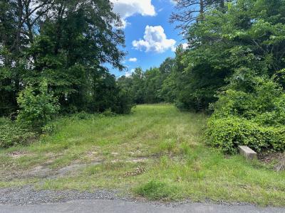 Johns Gin Road, Keithville, Louisiana 71047, Estados Unidos