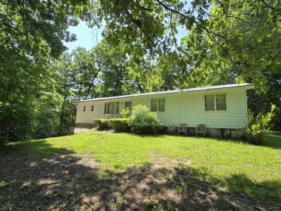 54 Skyline Dr, Williford, Arkansas 72482, USA