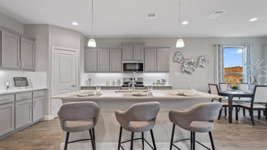 113 MEDINA LN, Rhome, 텍사스 76078, 미국