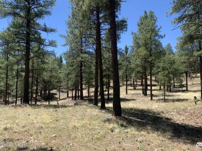 2343 E Del Rae Drive, Flagstaff, 亞利桑納州 86005, 美國