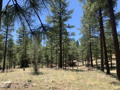 2343 E Del Rae Drive, Flagstaff, 亞利桑納州 86005, 美國