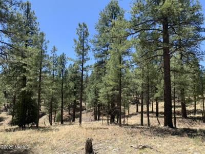 2343 E Del Rae Drive, Flagstaff, 亞利桑納州 86005, 美國