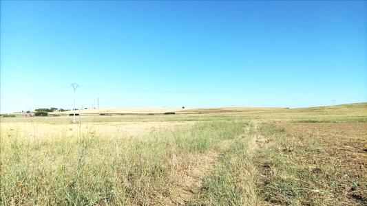 Valladolid, Castilla Y León 47130, Spain