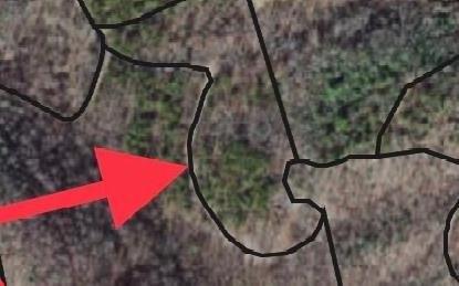 Trac I 2 Crockett Mountain Lane, Hayesville, Северная Каролина 28904, Соединенные Штаты