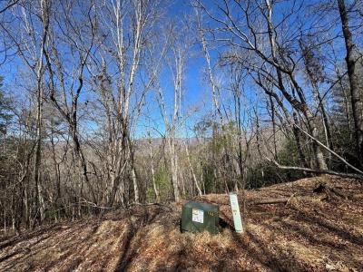 Trac I 2 Crockett Mountain Lane, Hayesville, Северная Каролина 28904, Соединенные Штаты