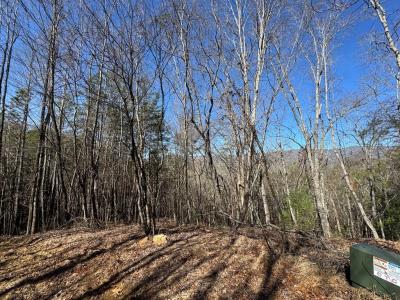 Trac I 2 Crockett Mountain Lane, Hayesville, Северная Каролина 28904, Соединенные Штаты