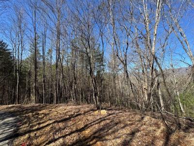 Trac I 2 Crockett Mountain Lane, Hayesville, NC 28904, USA