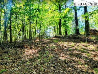 Tbd Lucky Leaf Lane, Vilas, ノースカロライナ 28692, アメリカ合衆国