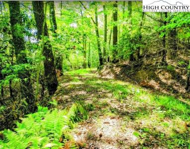 Tbd Lucky Leaf Lane, Vilas, ノースカロライナ 28692, アメリカ合衆国