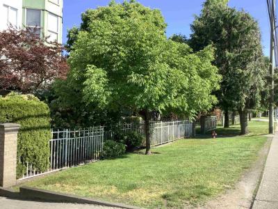 10128 132 STREET, Surrey, British Columbia V3T 3T5, Canada