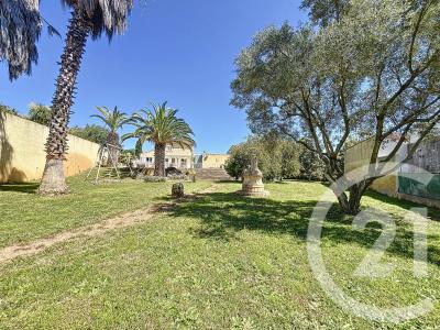 Bessan, Languedoc-Roussillon 34550, Francia