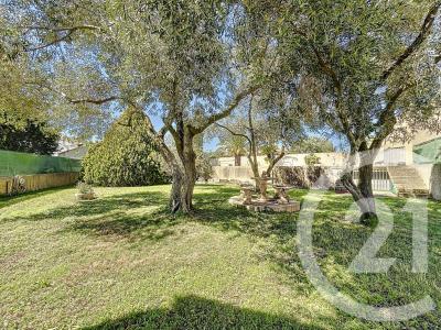 Bessan, Languedoc-Roussillon 34550, Francia
