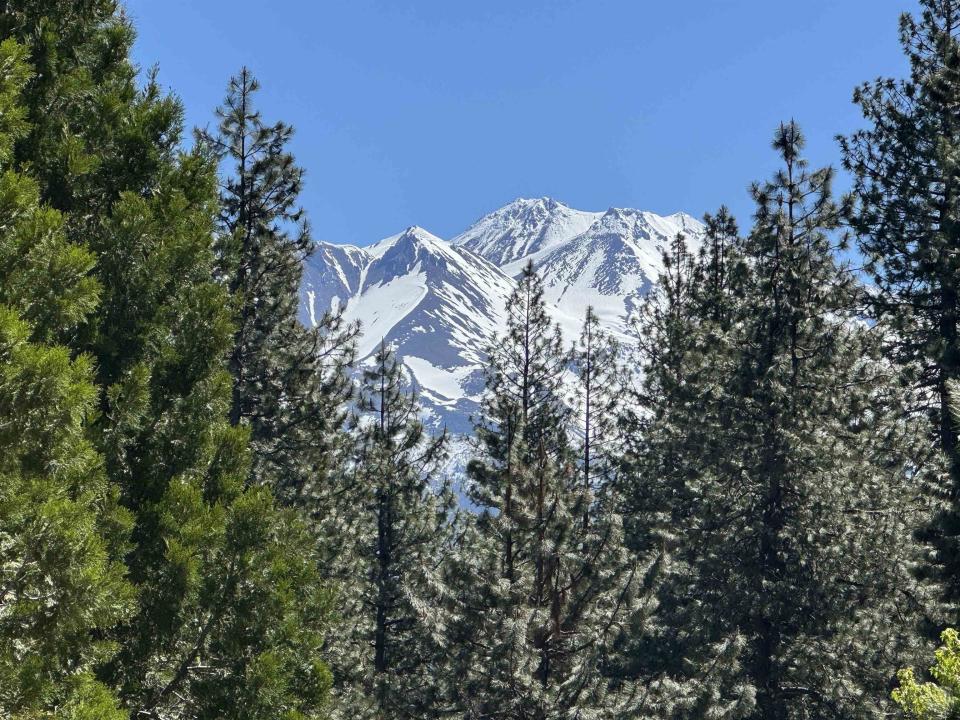 Dogwood Dr, Weed, California 96094-9754