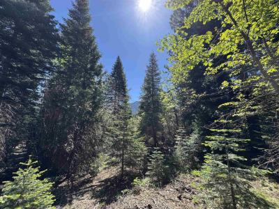 Dogwood Dr, Weed, California 96094-9754