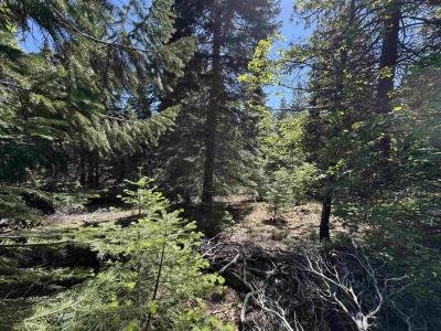 Dogwood Dr, Weed, California 96094-9754