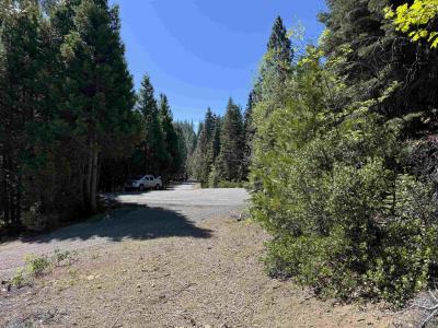 Dogwood Dr, Weed, California 96094-9754