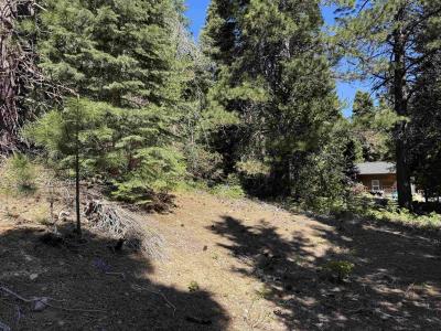Dogwood Dr, Weed, California 96094-9754
