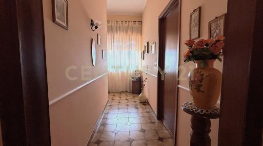 Aci Catena, Sicilia 95022, Ý