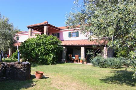 Koper, Pomjan, Koper, Obalno - Kraška 6274, Slovenia