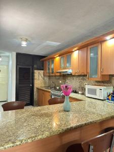 AVENIDA AMERICO VESPUCIO APARTAMENTO PLANTA BAJA EN VILLASOL SUITES, Lechería, Anzoategui 6016, Venezuela