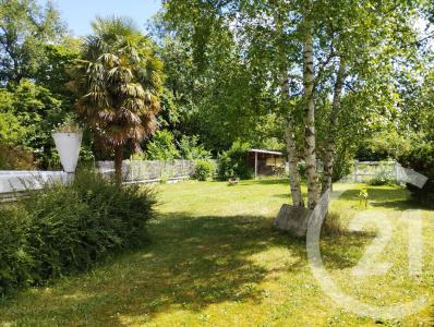 Beauchamp, Île-de-France 95250, צרפת