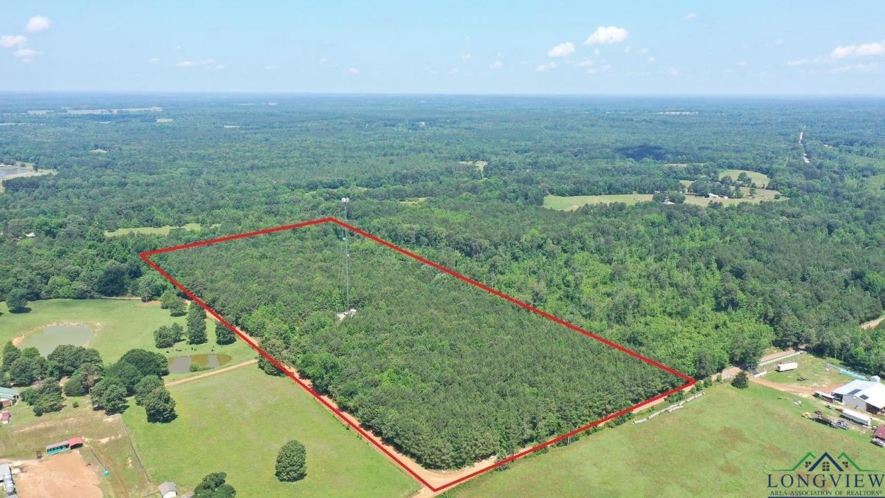 TBD County Road 2617, Linden, Texas 75563, États-Unis