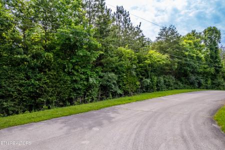 Deer Run & Wolfe Trail, Vonore, Tennessee 37885, Estados Unidos