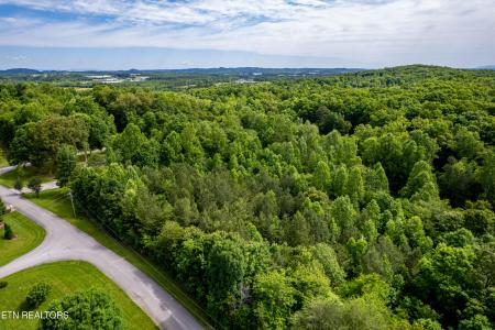 Deer Run & Wolfe Trail, Vonore, Tennessee 37885, Estados Unidos