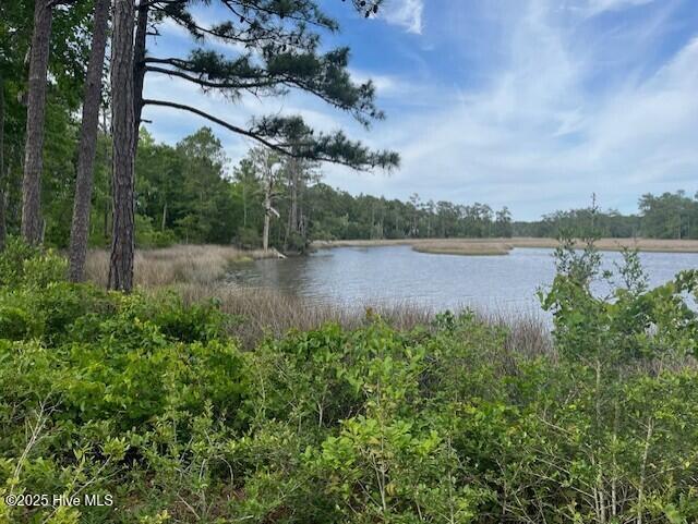 129 Starkey Creek Drive, Swansboro, North Carolina 28584, HOA KỲ