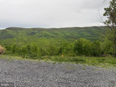 Lot 213 Hampshire Ridge, Romney, Zachodnia Wirginia 26757, USA