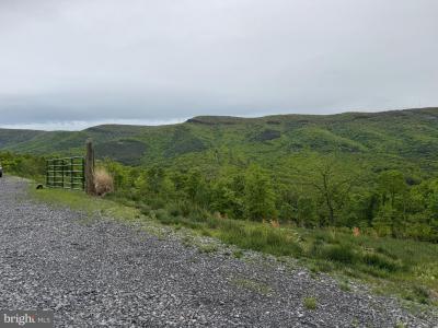 Lot 213 Hampshire Ridge, Romney, Zachodnia Wirginia 26757, USA