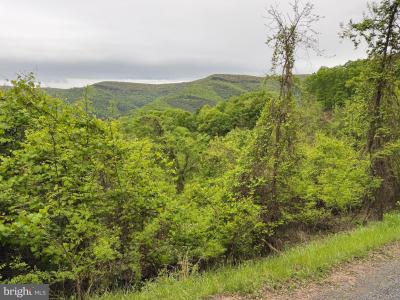Lot 213 Hampshire Ridge, Romney, Zachodnia Wirginia 26757, USA