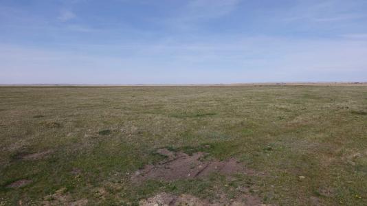 VULCAN COUNTY, Rural Vulcan County, 阿爾伯塔 T0L 2B0, 加拿大